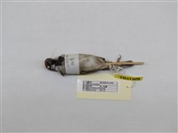 藏品(麻雀)的圖片